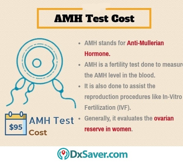 Anti-Mullerian Hormone, AMH Test | Cost, Purpose & Procedure - DxSaver.com