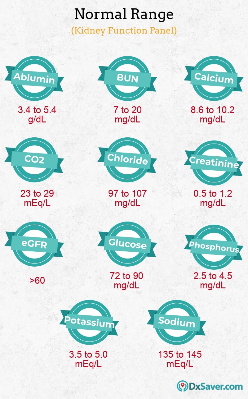 complete-guide-to-renal-kidney-panel-cost-purpose-tests-included