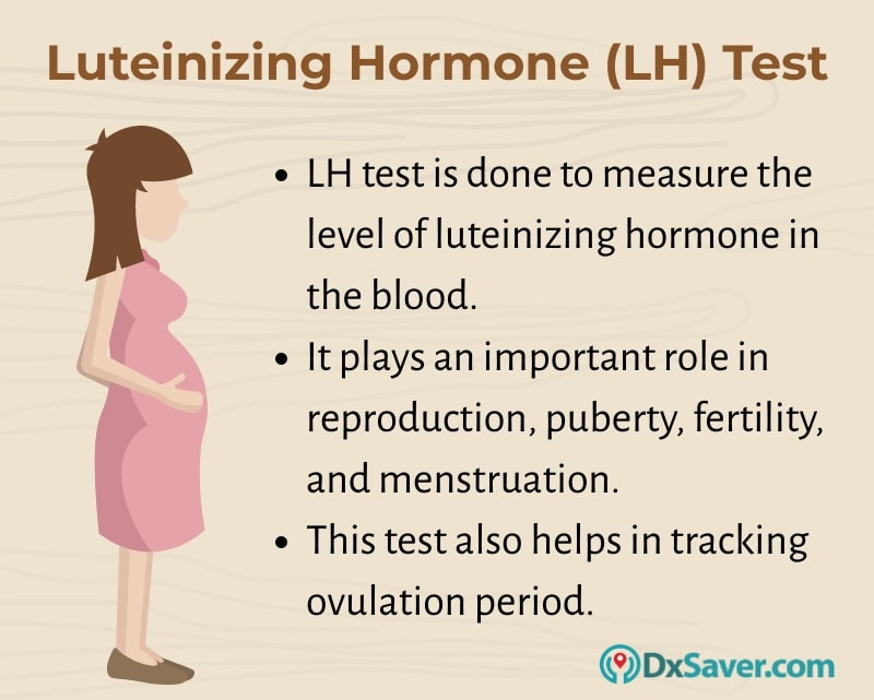 What Is Luteinizing Hormone Test