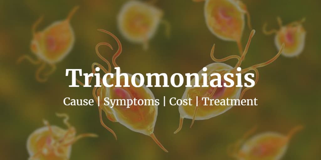 Trichomoniasis Test Cost Just at $79 | Discreet & Same Day Testing