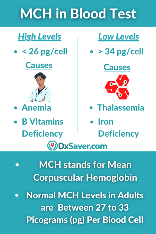 What Is MCH In Blood Tests MCH Blood Test Normal High Low Levels 