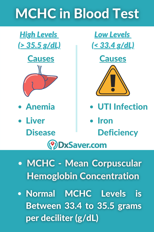 Mean Corpuscular Hemoglobin Concentration MCHC Blood Test Normal High 