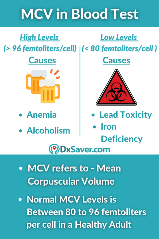 What Is MCV Blood Test Causes Symptoms Of High Low MCV Levels In 