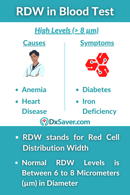 RDW Blood Test Normal Levels Causes Of High Low Levels Get Tested 