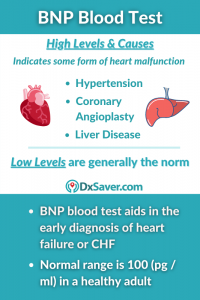 What is BNP Blood Test? | Causes & Symptoms of High & Low BNP Levels