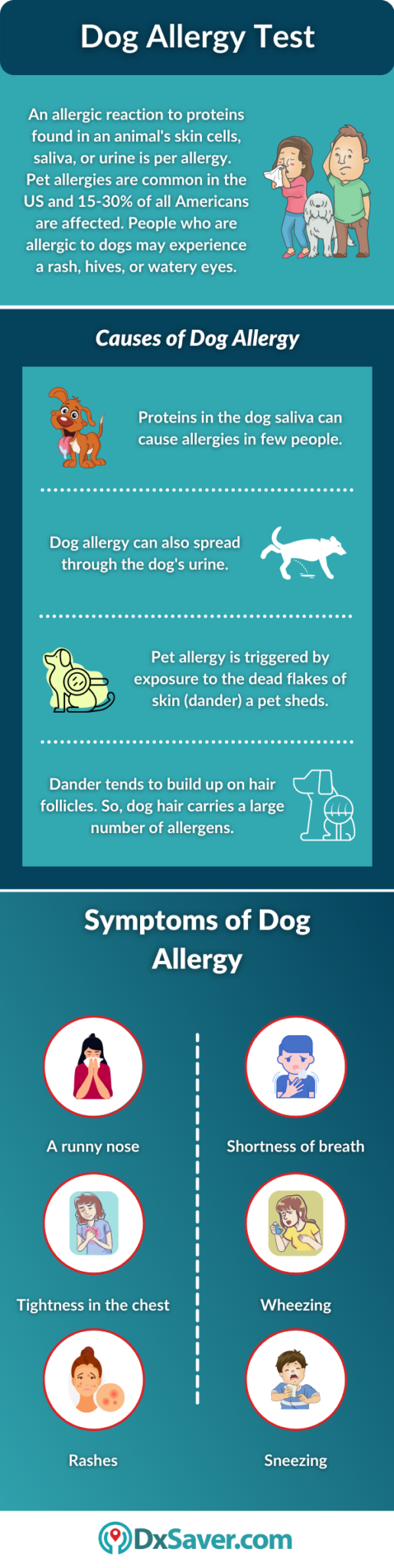 Dog Allergy: Symptoms, Testing, Treatment, and Much more – DxSaver.com