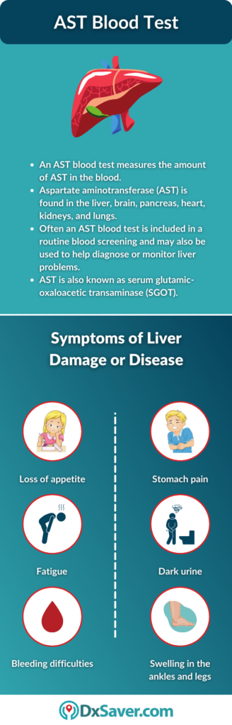 What is an AST Blood Test? – Procedure, Preparation and More – DxSaver.com