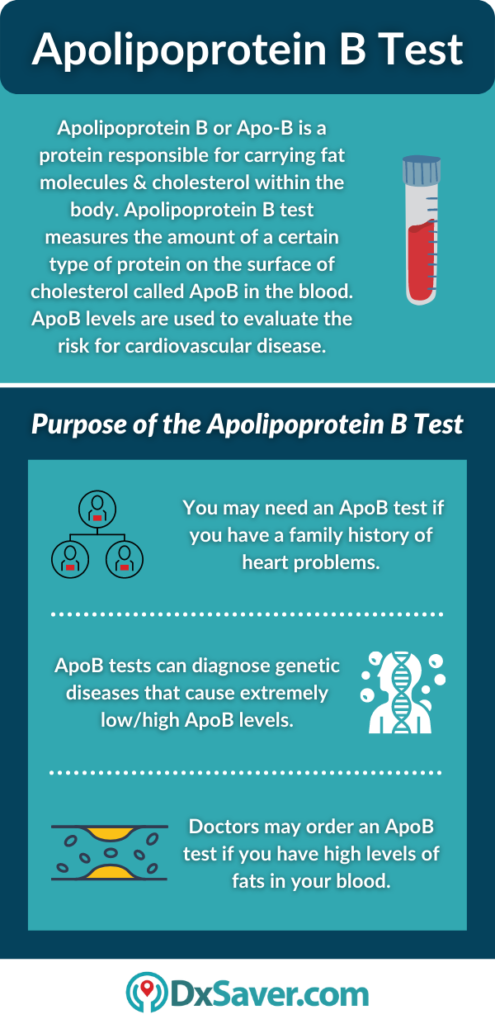 Apolipoprotein B Test – Purpose, Preparation, Procedure And Test Cost ...