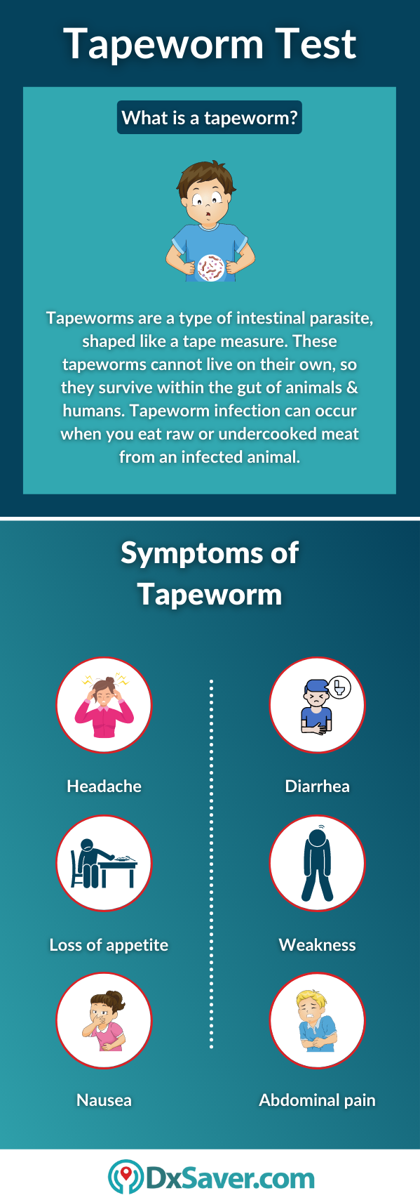 tapeworm causes