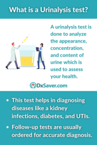 Urinalysis Testing: Procedure, Testing Cost And Results Interpretation ...